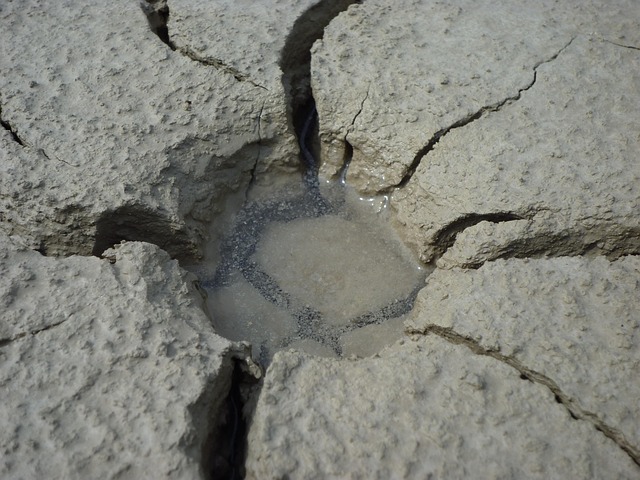 French Green Clay (Illite or Sea Clay)