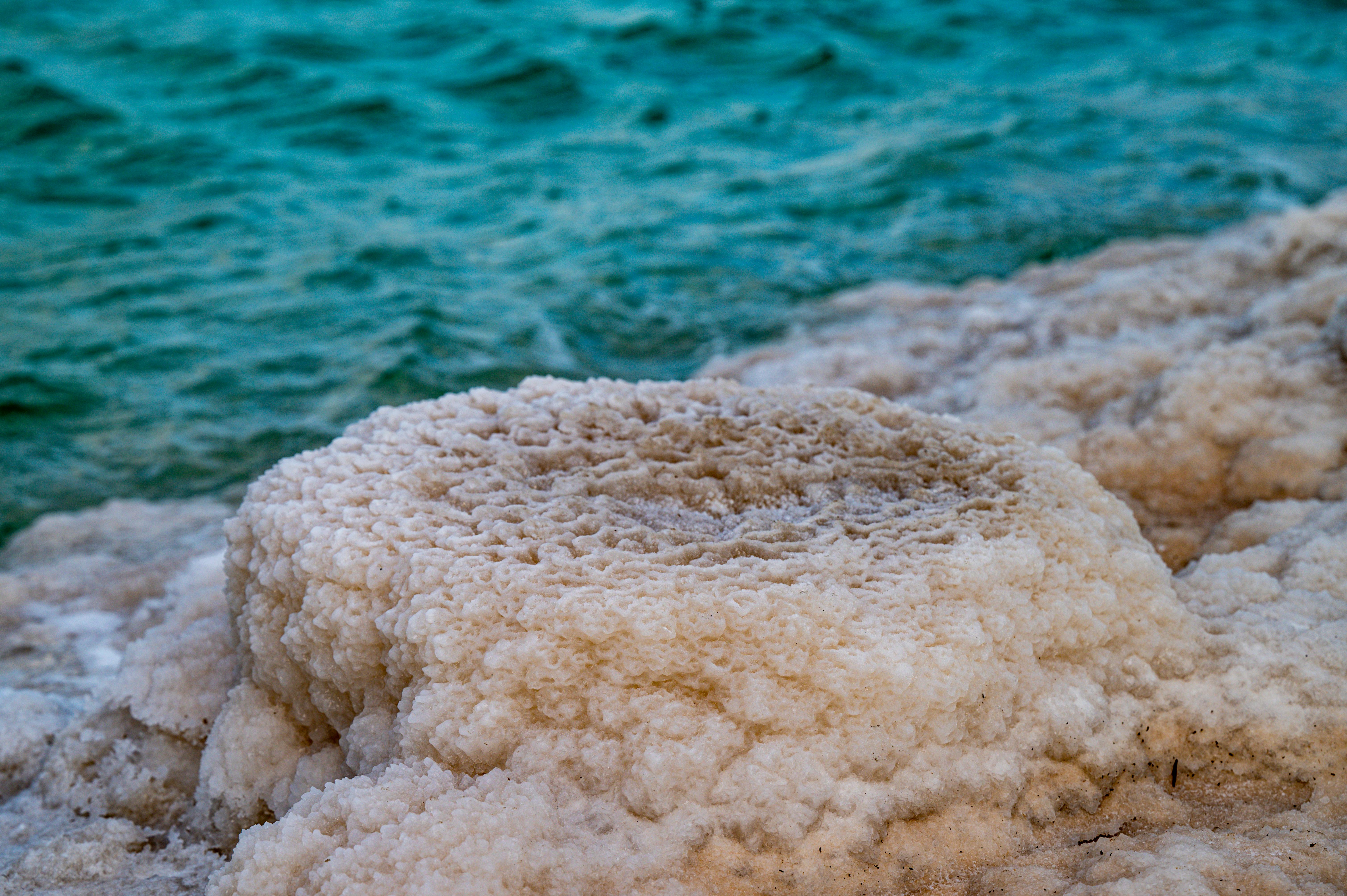 Dead Sea Salt